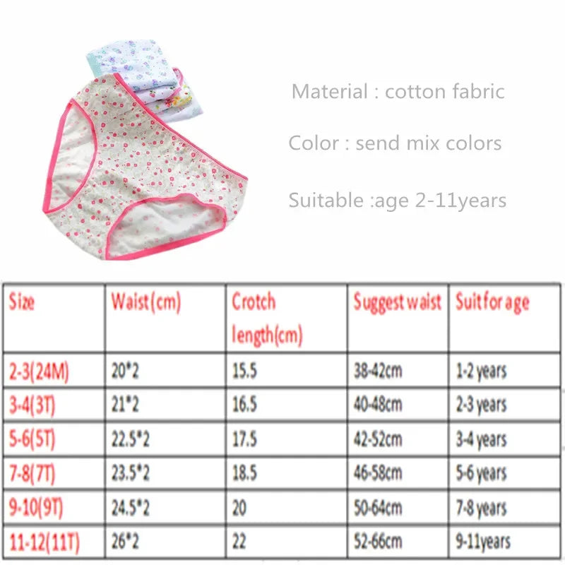 Calcinhas Infantis Anna &amp; Joyce – Conforto e Estilo para Meninas